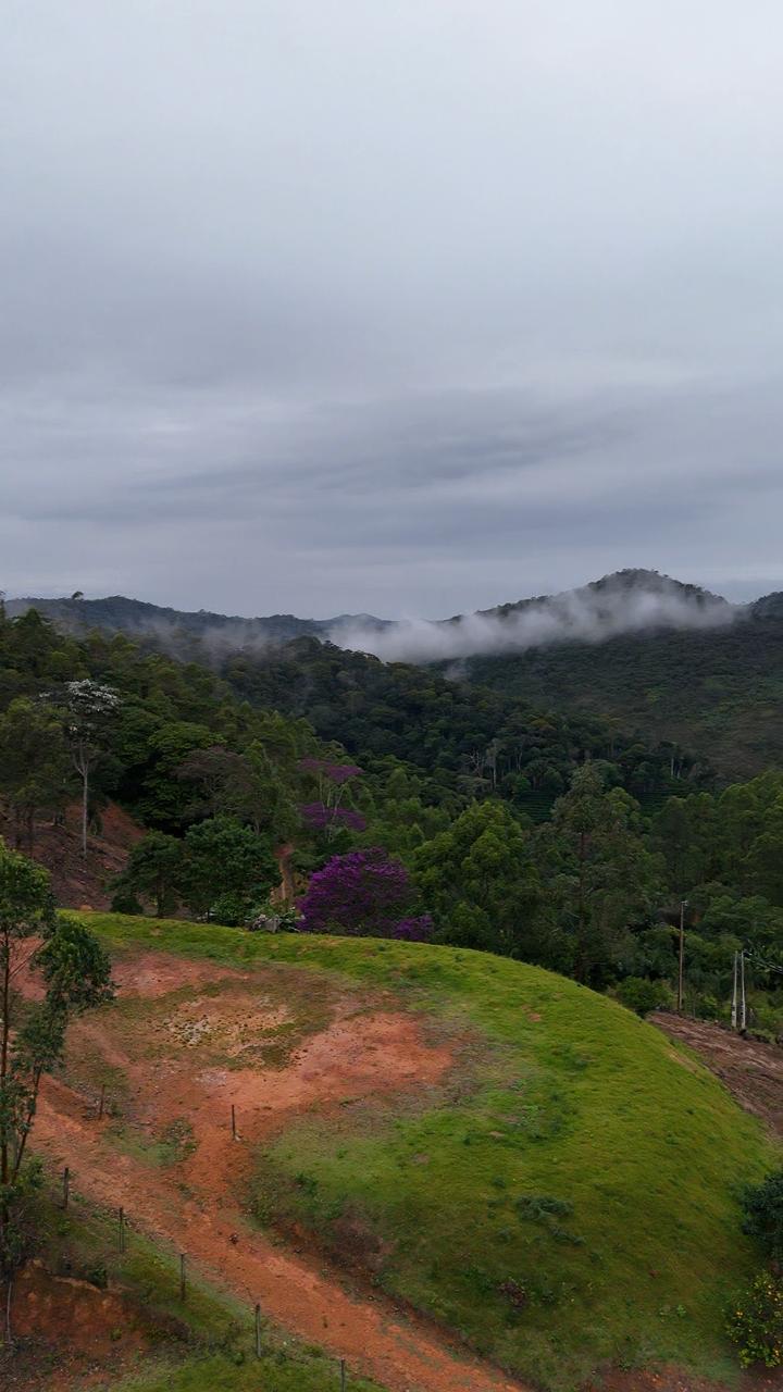 Imagem 8 da propriedade